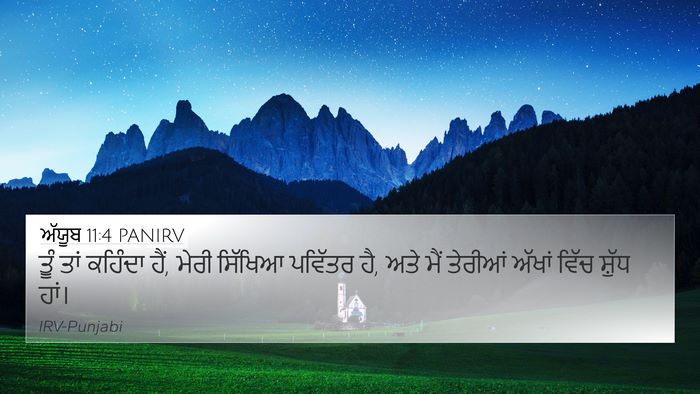 ਅੱਯੂਬ 11:4 PANIRV Bible Verse Image