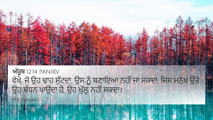 ਅੱਯੂਬ 12:14 PANIRV Bible Verse Image