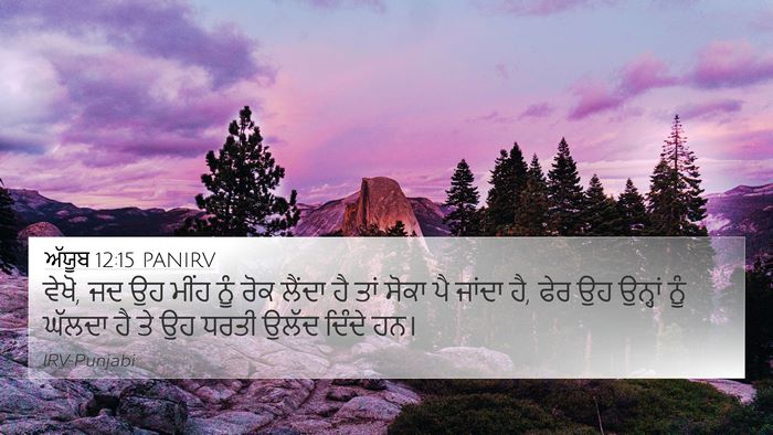 ਅੱਯੂਬ 12:15 PANIRV Bible Verse Image