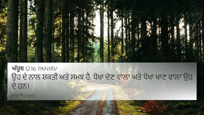 ਅੱਯੂਬ 12:16 PANIRV Bible Verse Image