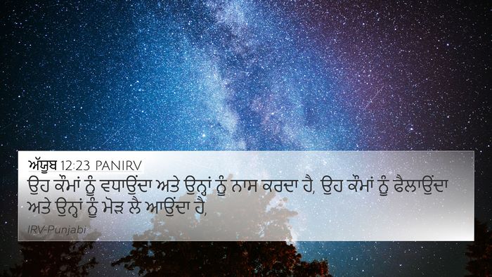 ਅੱਯੂਬ 12:23 PANIRV Bible Verse Image