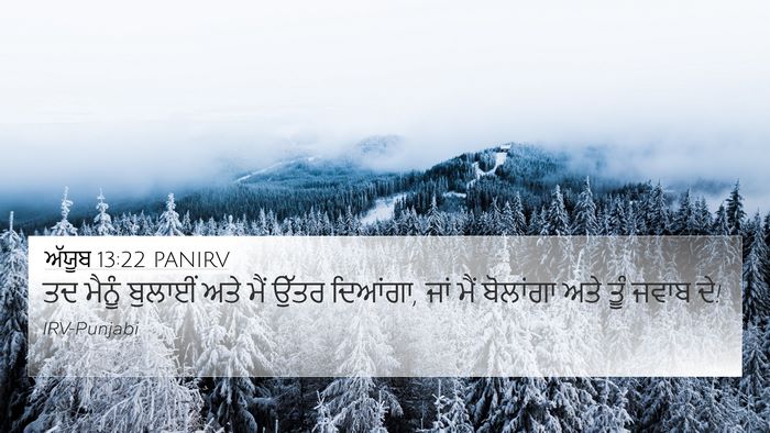 ਅੱਯੂਬ 13:22 PANIRV Bible Verse Image