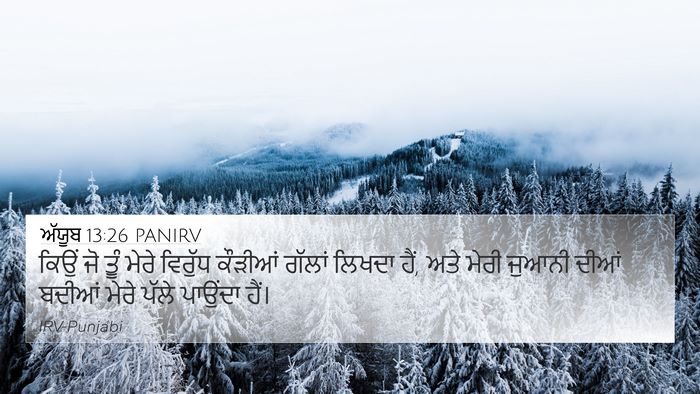 ਅੱਯੂਬ 13:26 PANIRV Bible Verse Image