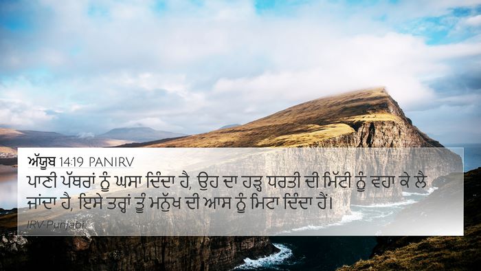 ਅੱਯੂਬ 14:19 PANIRV Bible Verse Image