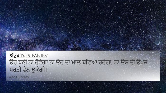 ਅੱਯੂਬ 15:29 PANIRV Bible Verse Image
