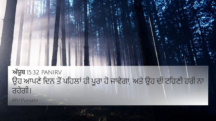 ਅੱਯੂਬ 15:32 PANIRV Bible Verse Image
