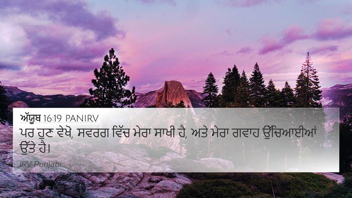 ਅੱਯੂਬ 16:19 PANIRV Bible Verse Image