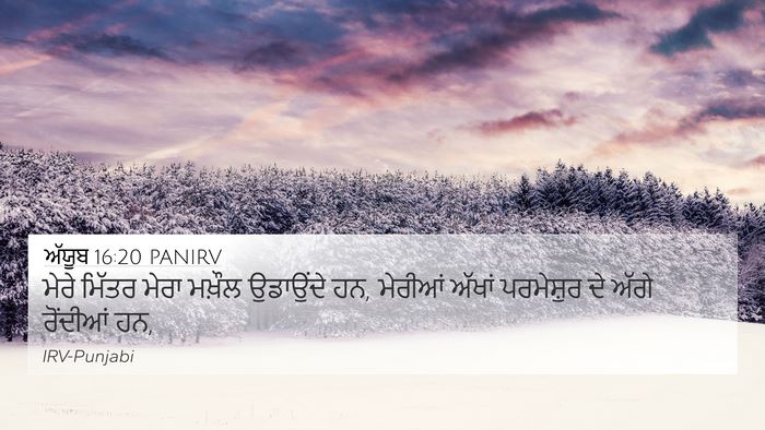 ਅੱਯੂਬ 16:20 PANIRV Bible Verse Image
