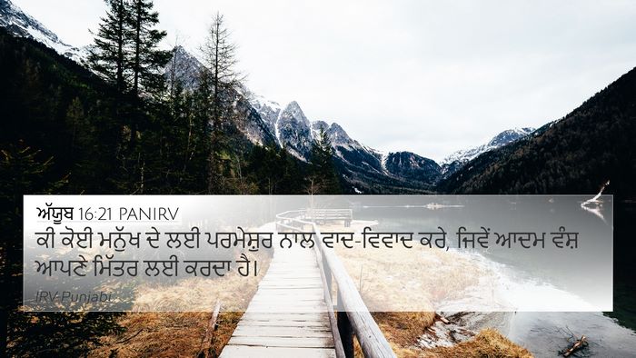 ਅੱਯੂਬ 16:21 PANIRV Bible Verse Image