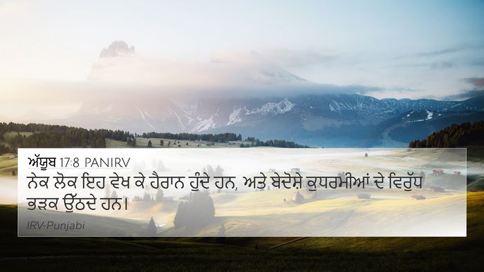 ਅੱਯੂਬ 17:8 PANIRV Bible Verse Image
