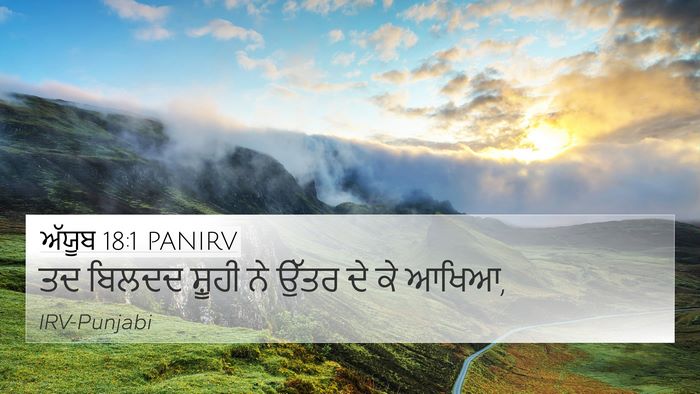 ਅੱਯੂਬ 18:1 PANIRV 4K Wallpaper - ਤਦ ਬਿਲਦਦ ਸ਼ੂਹੀ ਨੇ - 4K Wallpaper Bible Verse