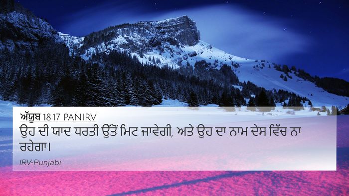 ਅੱਯੂਬ 18:17 PANIRV Bible Verse Image