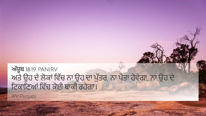 ਅੱਯੂਬ 18:19 PANIRV Bible Verse Image