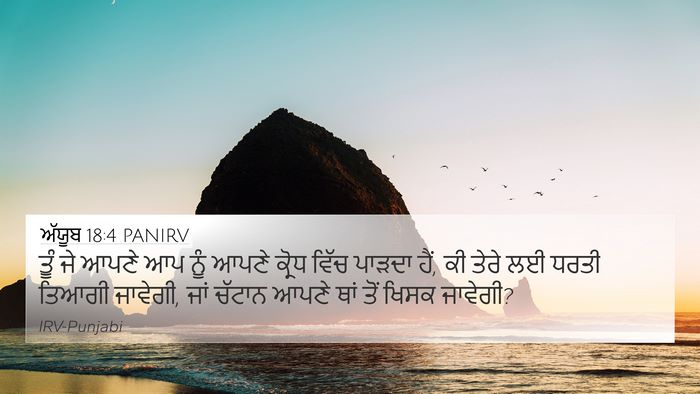 ਅੱਯੂਬ 18:4 PANIRV Bible Verse Image
