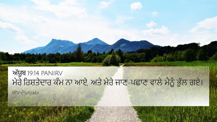ਅੱਯੂਬ 19:14 PANIRV Bible Verse Image