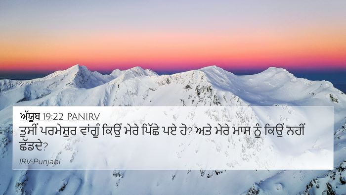ਅੱਯੂਬ 19:22 PANIRV Bible Verse Image