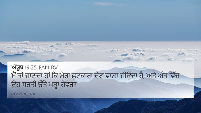 ਅੱਯੂਬ 19:25 PANIRV Bible Verse Image