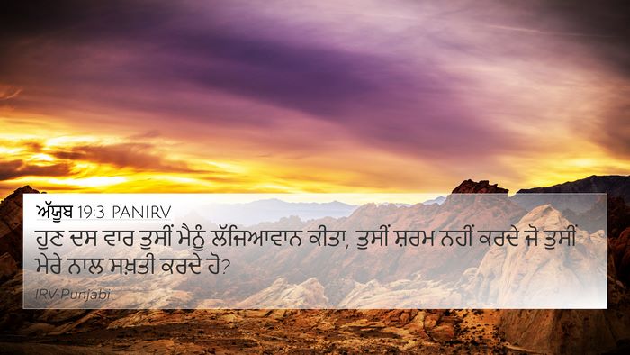 ਅੱਯੂਬ 19:3 PANIRV Bible Verse Image