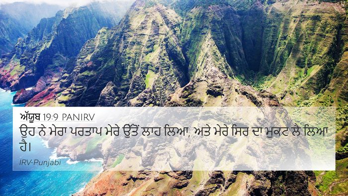 ਅੱਯੂਬ 19:9 PANIRV Bible Verse Image
