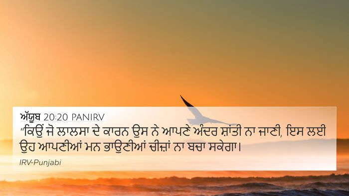 ਅੱਯੂਬ 20:20 PANIRV Bible Verse Image