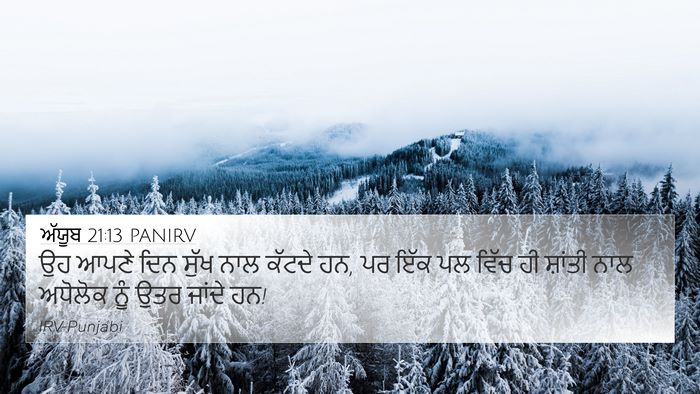 ਅੱਯੂਬ 21:13 PANIRV Bible Verse Image