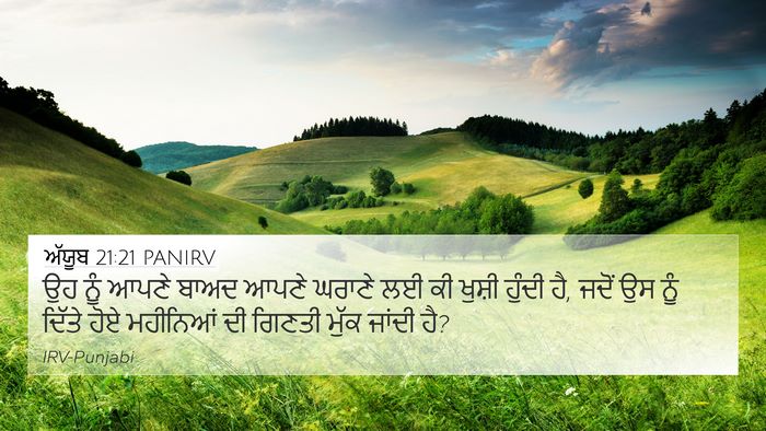 ਅੱਯੂਬ 21:21 PANIRV Bible Verse Image