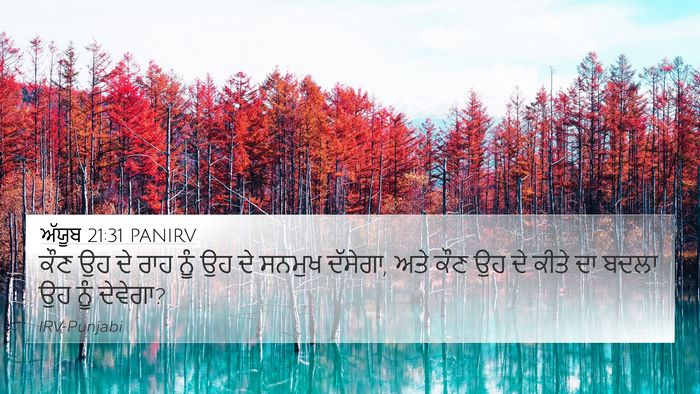 ਅੱਯੂਬ 21:31 PANIRV Bible Verse Image
