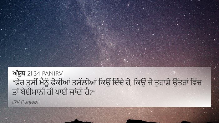 ਅੱਯੂਬ 21:34 PANIRV Bible Verse Image