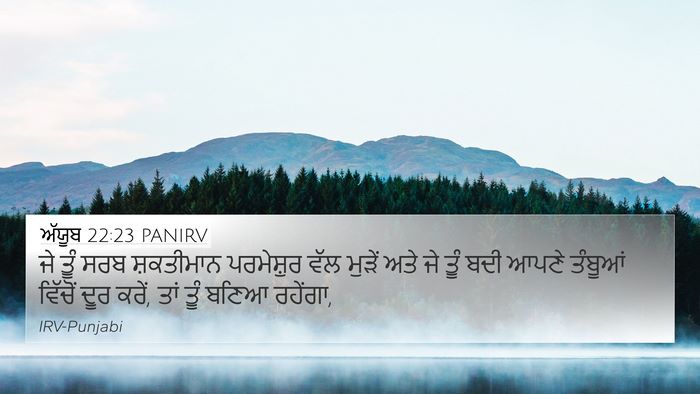 ਅੱਯੂਬ 22:23 PANIRV Bible Verse Image