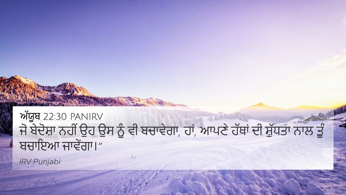 ਅੱਯੂਬ 22:30 PANIRV Bible Verse Image