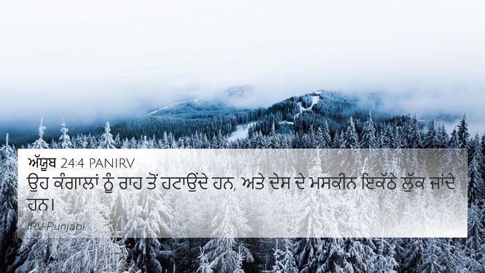 ਅੱਯੂਬ 24:4 PANIRV 4K Wallpaper - ਉਹ ਕੰਗਾਲਾਂ ਨੂੰ ਰਾਹ - 4K Wallpaper Bible Verse