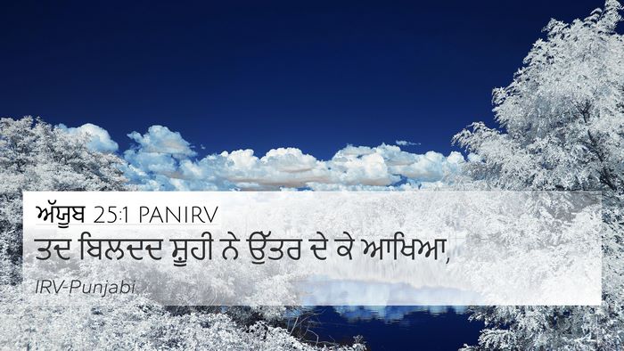 ਅੱਯੂਬ 25:1 PANIRV Bible Verse Image