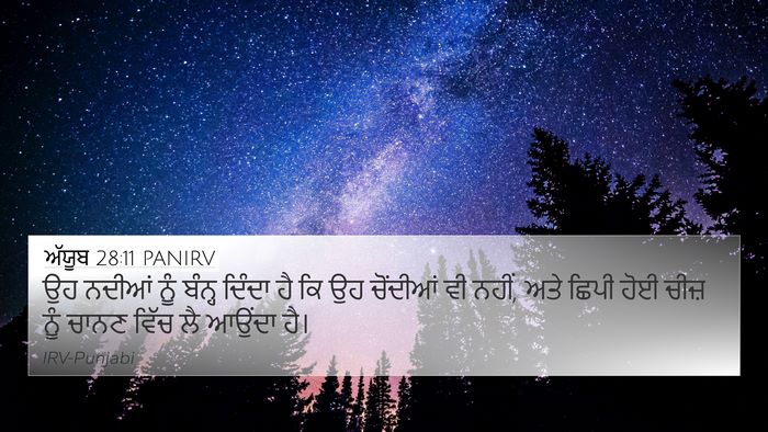 ਅੱਯੂਬ 28:11 PANIRV Bible Verse Image
