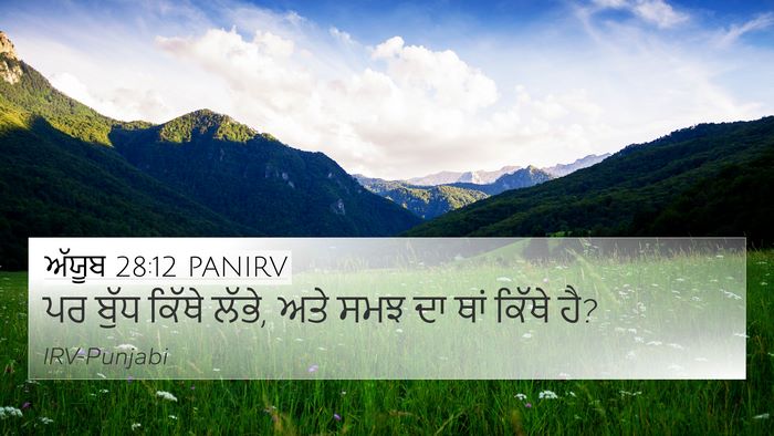 ਅੱਯੂਬ 28:12 PANIRV Bible Verse Image