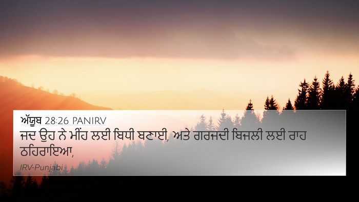 ਅੱਯੂਬ 28:26 PANIRV Bible Verse Image