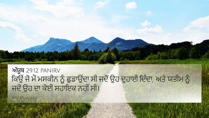 ਅੱਯੂਬ 29:12 PANIRV Bible Verse Image