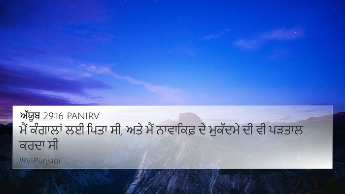 ਅੱਯੂਬ 29:16 PANIRV Bible Verse Image