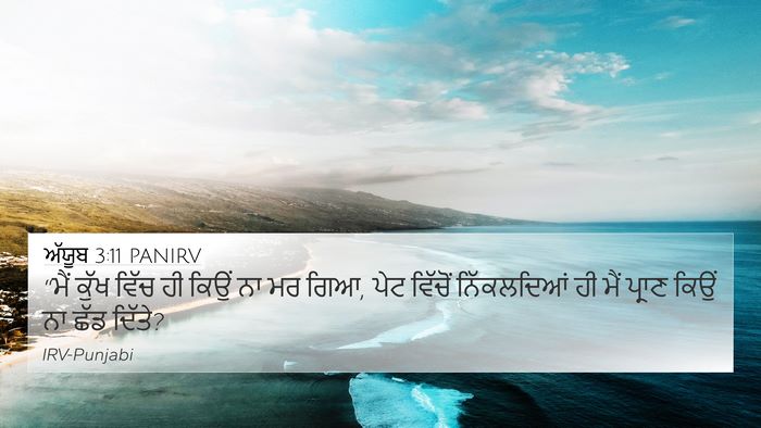 ਅੱਯੂਬ 3:11 PANIRV Bible Verse Image