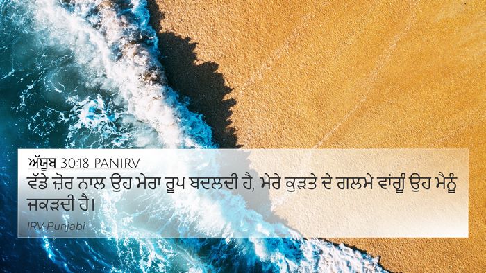 ਅੱਯੂਬ 30:18 PANIRV Bible Verse Image
