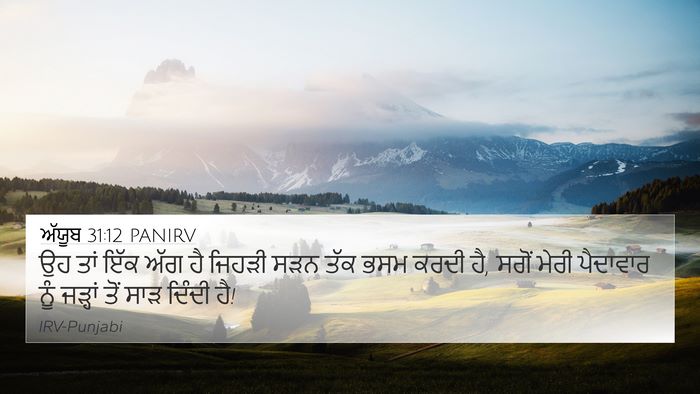 ਅੱਯੂਬ 31:12 PANIRV 4K Wallpaper - ਉਹ ਤਾਂ ਇੱਕ ਅੱਗ ਹੈ - 4K Wallpaper Bible Verse