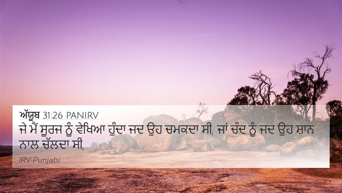 ਅੱਯੂਬ 31:26 PANIRV Bible Verse Image