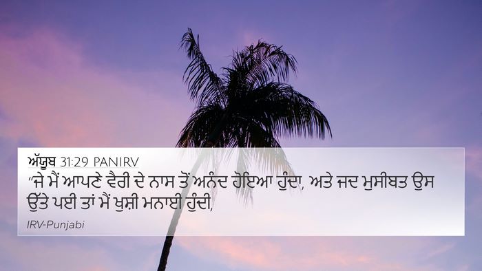 ਅੱਯੂਬ 31:29 PANIRV Bible Verse Image