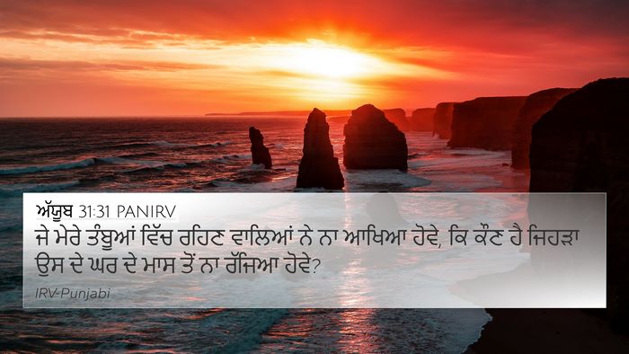 ਅੱਯੂਬ 31:31 PANIRV Bible Verse Image