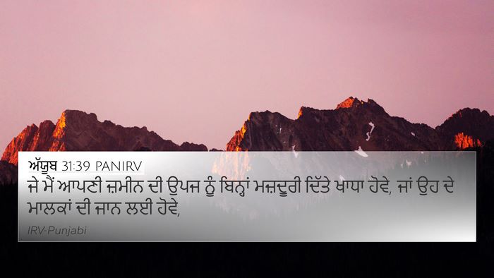 ਅੱਯੂਬ 31:39 PANIRV Bible Verse Image