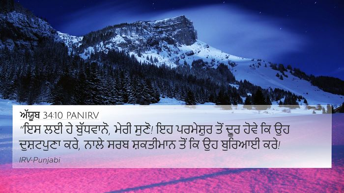 ਅੱਯੂਬ 34:10 PANIRV Bible Verse Image