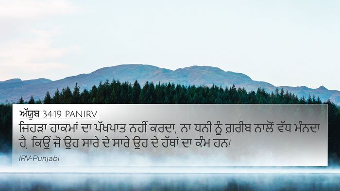 ਅੱਯੂਬ 34:19 PANIRV Bible Verse Image