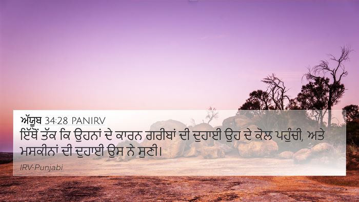 ਅੱਯੂਬ 34:28 PANIRV Bible Verse Image