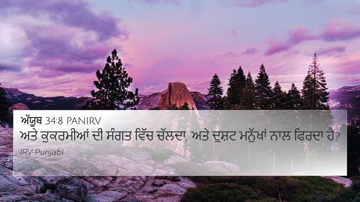 ਅੱਯੂਬ 34:8 PANIRV Bible Verse Image
