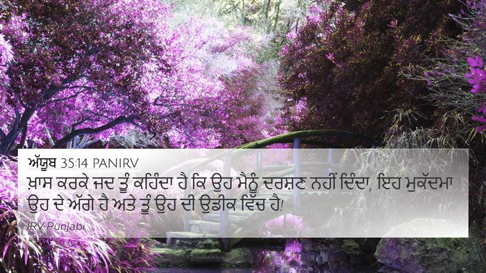 ਅੱਯੂਬ 35:14 PANIRV Bible Verse Image