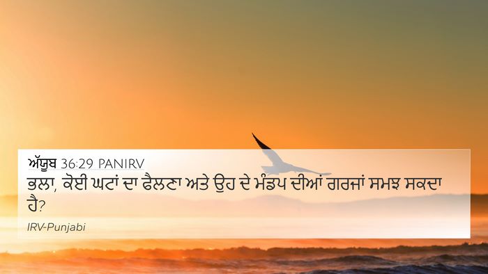 ਅੱਯੂਬ 36:29 PANIRV Bible Verse Image